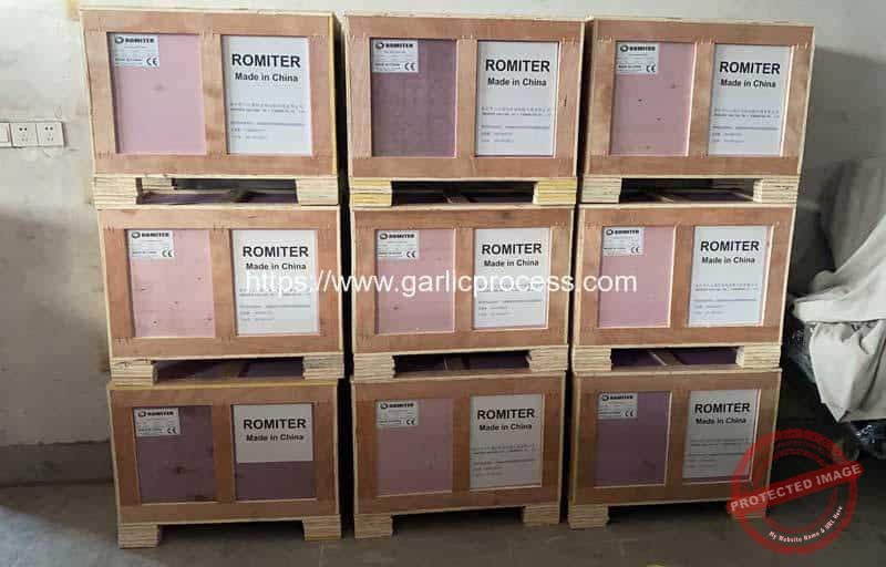 Automatic-Garlic-Leaf-and-Root-Cutting-Machine-for-Ukraine-Customer